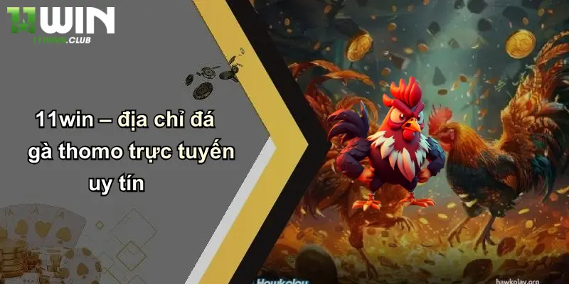 Đá Gà Thomo: Trải Nghiệm Cá Cược Đỉnh Cao Độc Quyền Tại 11WIN 3 11win – địa chỉ đá gà thomo trực tuyến uy tín