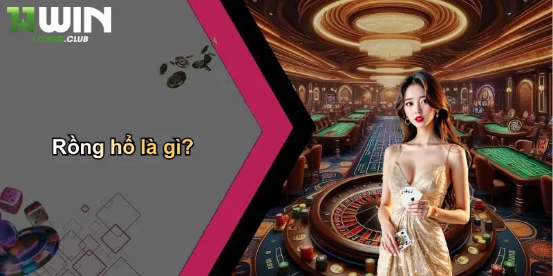 Rồng hổ là gì?